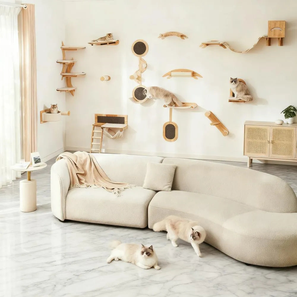 All-in-One Wall Climbing Toy