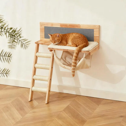 All-in-One Wall Climbing Toy